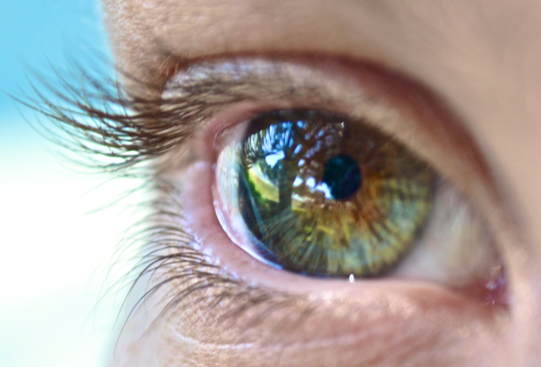 How Long is it Safe to Wear Contact Lenses? associated image